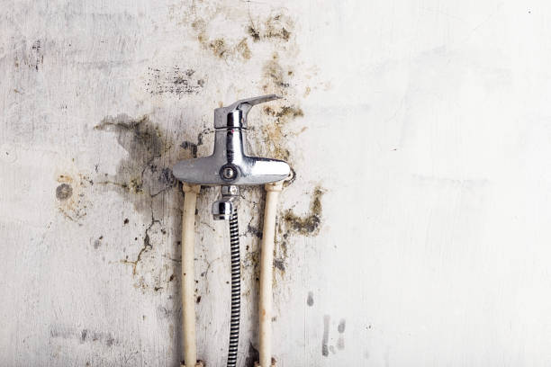 Best Mold Remediation for Specific Building Types in Venus, TX