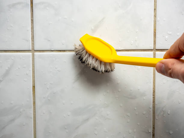 Best Basement Mold Remediation in Venus, TX