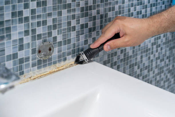 Best Industrial Mold Remediation in Venus, TX