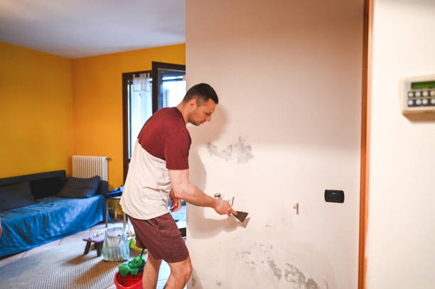Best Insurance-Related Mold Remediation in Venus, TX